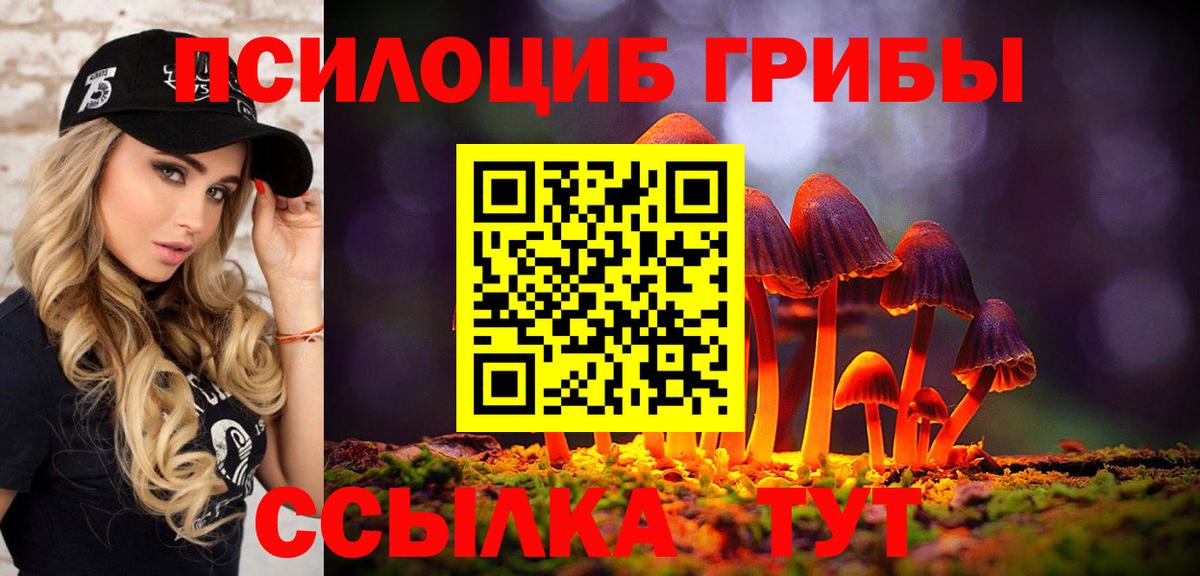 Псилоцибиновые грибы мухоморы Сальск